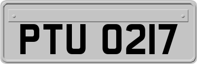 PTU0217