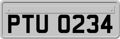 PTU0234