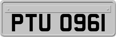 PTU0961