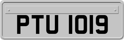 PTU1019