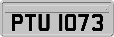 PTU1073