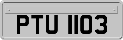 PTU1103