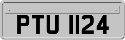 PTU1124