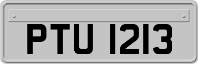 PTU1213