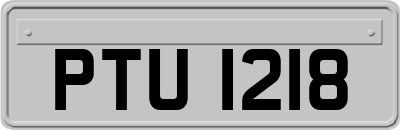 PTU1218