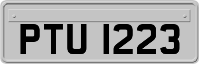 PTU1223