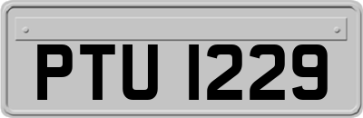 PTU1229