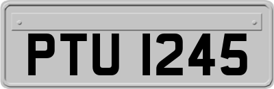 PTU1245