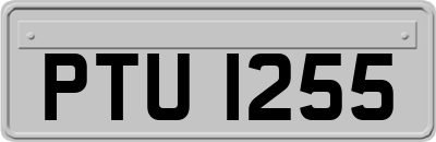 PTU1255