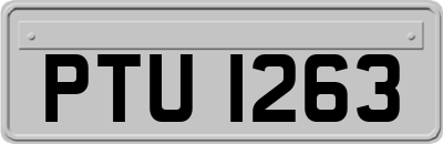 PTU1263