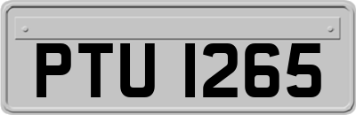 PTU1265