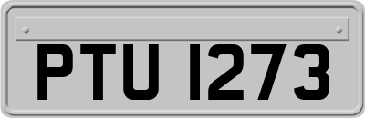 PTU1273