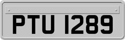 PTU1289