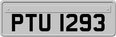 PTU1293