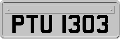 PTU1303