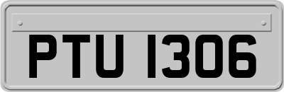 PTU1306