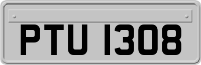 PTU1308