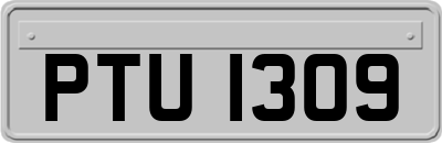 PTU1309