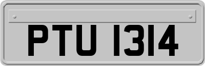 PTU1314