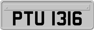 PTU1316