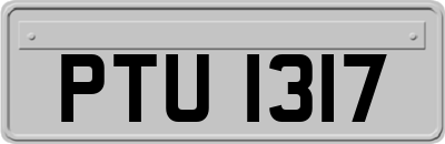 PTU1317