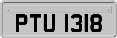 PTU1318