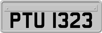 PTU1323