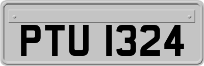 PTU1324