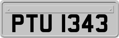 PTU1343