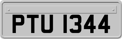 PTU1344