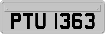 PTU1363