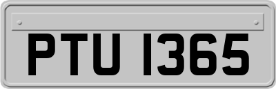 PTU1365