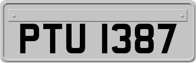 PTU1387