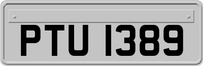 PTU1389