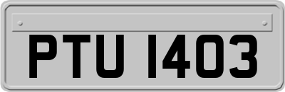 PTU1403