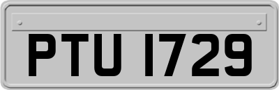 PTU1729