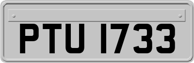PTU1733