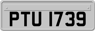 PTU1739