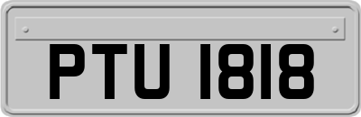 PTU1818