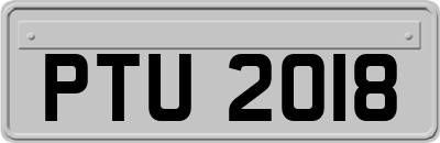 PTU2018