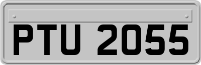 PTU2055