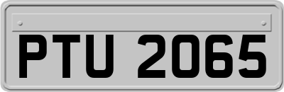 PTU2065