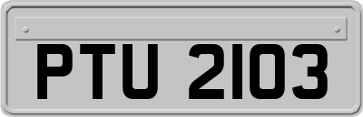 PTU2103