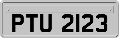 PTU2123