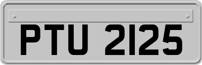 PTU2125