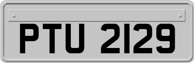 PTU2129