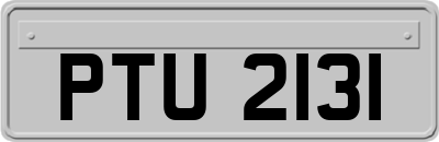 PTU2131