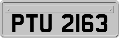 PTU2163