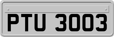 PTU3003