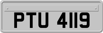PTU4119